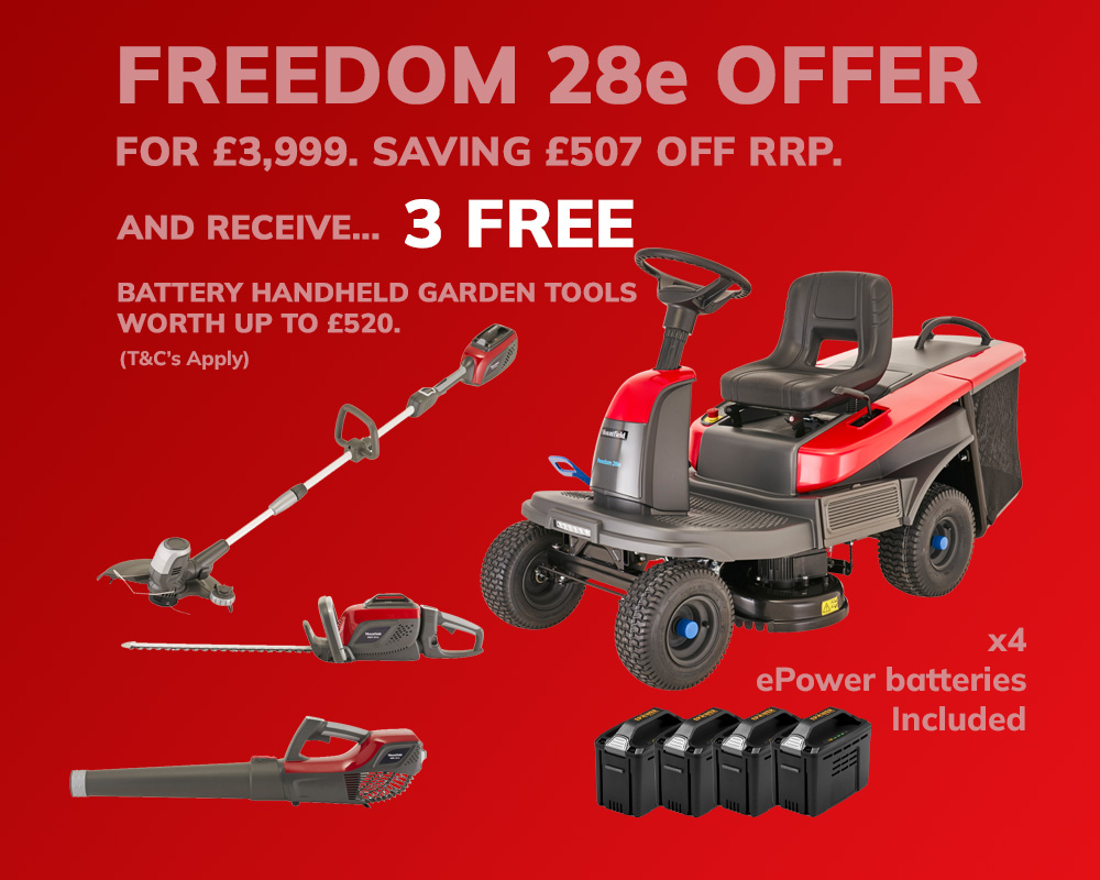 Freedom-Promo