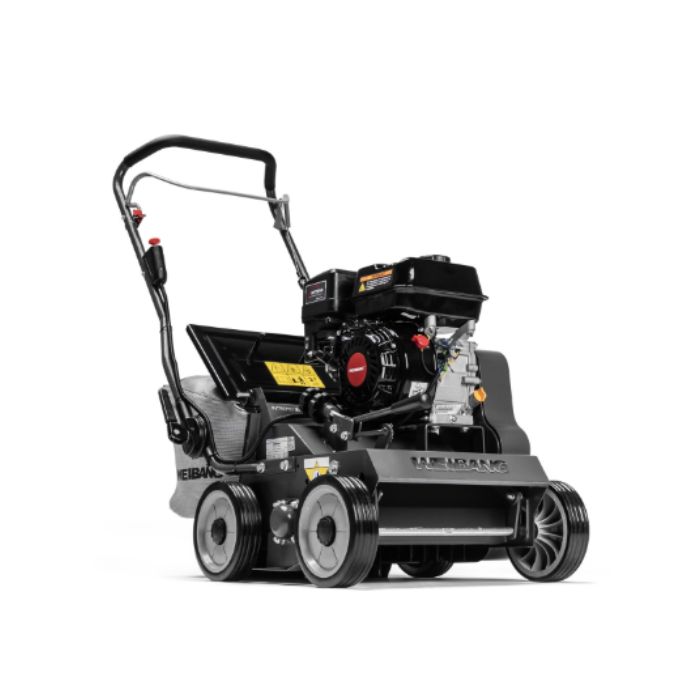 WGVT50