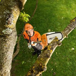 Stihl Pole Saw